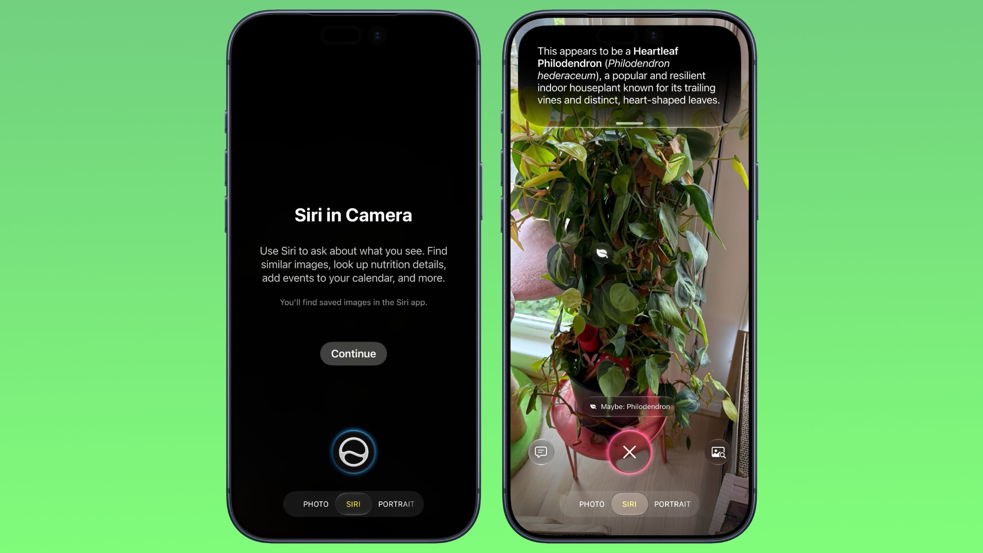 iOS 27 카메라 앱에 Siri 모드가 추가되고 UI가 업데이트됨